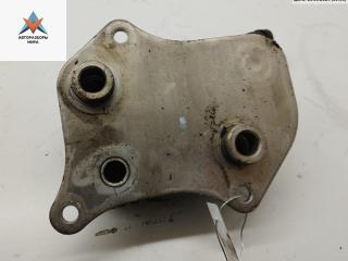 радиатор масляный Audi A4 B6 2004, 2.0 л., бензин, МКПП, серый, универсал, 06B117021