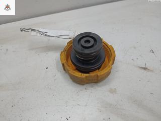 пробка расширительного бачка Opel Zafira 2 поколение (B) 2006, 1.8 л., бензин, МКПП, серый, минивэн, 9202799, 8715350