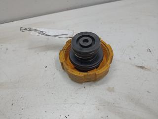 пробка расширительного бачка Opel Zafira B 2006, 1.8 л., бензин, МКПП, серый, минивэн, 9202799, 8715350