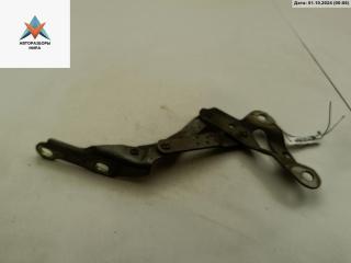 петля капота правая Ford Galaxy 1 поколение [рестайлинг] 2003, серый, минивэн, 7MO823302L