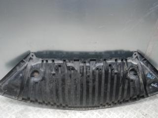 защита бампера (кенгурятник) Mercedes-Benz E-Класс W212/S212/C207/A207 2010, 2.2 л., D E220 CDI, дизель, АКПП, купе