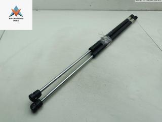 амортизатор крышки багажника (3-5 двери) Renault Scenic 1 поколение [рестайлинг] 2002, 1.6 л., бензин, МКПП, зелёный, минивэн, 1094713