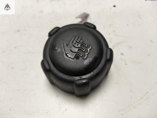 пробка расширительного бачка Renault Laguna 2 поколение [рестайлинг] 2006, 1.9 л., дизель, МКПП, красный, универсал, 8200048024