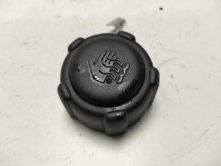пробка расширительного бачка Renault Laguna II 2006, 1.9 л., дизель, МКПП, красный, универсал, 8200048024