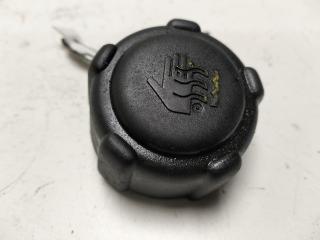 пробка расширительного бачка Renault Scenic I 2001, 1.6 л., бензин, МКПП, красный, минивэн, 8200048024