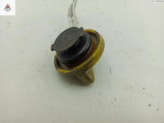 пробка маслозаливная Renault Scenic 1 поколение [рестайлинг] 2002, 2.0 л., бензин, АКПП, серый, минивэн, 110771