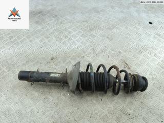 стойка передняя Volkswagen Golf 4 поколение 1999, 1.4 л., бензин, МКПП, белый, хетчбэк 5 дв.