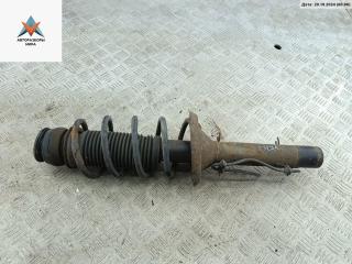 стойка передняя Volkswagen Golf 4 поколение 2000, 1.4 л., бензин, МКПП, серый, хетчбэк 5 дв.