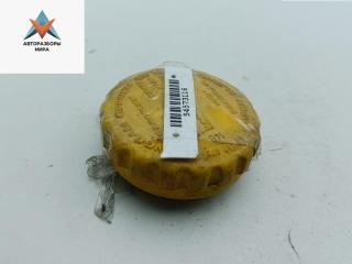 пробка расширительного бачка Opel Astra G 2001, 1.2 л., бензин, МКПП, синий, хетчбэк 5 дв.