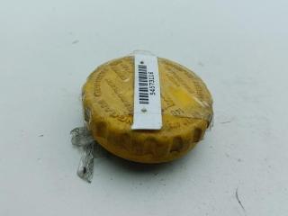 пробка расширительного бачка Opel Astra G 2001, 1.2 л., бензин, МКПП, синий, хетчбэк 5 дв.