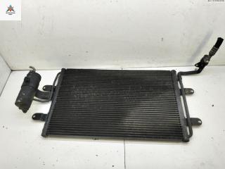 радиатор кондиционера Skoda Octavia mk1 (A4 1U) 2004, 1.4 л., бензин, МКПП, синий, хетчбэк 5 дв., 1J0820411L