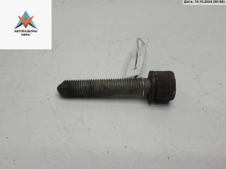 Болт крепления Skoda Octavia mk2 (A5 1Z) 2007, 1.6 л., бензин, МКПП, красный, универсал