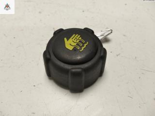 пробка расширительного бачка Renault Scenic 3 поколение 2010, 1.5 л., дизель, МКПП, синий, минивэн, 8200048024