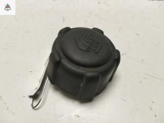 пробка расширительного бачка Renault Scenic 2 поколение 2003, 1.6 л., бензин, МКПП, синий, минивэн, 8200048024