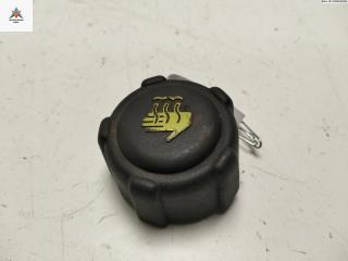 пробка расширительного бачка Renault Scenic 3 поколение 2009, 1.9 л., дизель, МКПП, серый, минивэн, 8200048024