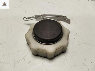 пробка расширительного бачка Renault Clio 2 поколение 2000, 1.2 л., бензин, МКПП, синий, хетчбэк 3 дв., 7700805031