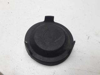 крышка фары Volkswagen Passat B5 1999, 1.6 л., бензин, МКПП, зелёный, универсал, 147969