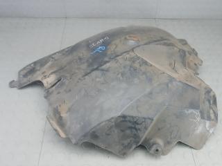 Подкрылок передний левый Volkswagen Crafter 1 поколение [рестайлинг] 2013, 2.0 л., TDi, дизель, МКПП, микроавтобус