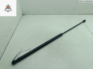 амортизатор капота Opel Signum C 2003, хетчбэк 5 дв., 24454473