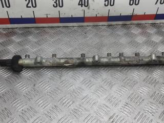 топливная рампа BMW X5 E53 [рестайлинг] 2003, 3.0 л., дизель, АКПП, внедорожник 5 дв., 0445216002