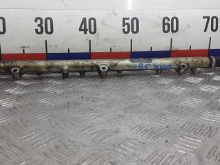 топливная рампа BMW X5 E53 2002, 3.0 л., дизель, АКПП, внедорожник 5 дв., 0445216002