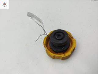 пробка расширительного бачка Opel Astra H 2004, 1.6 л., бензин, МКПП, синий, универсал, 9202799, 8715350