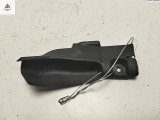 накладка двери (крышки) багажника Renault Scenic 2 поколение [рестайлинг] 2006, 1.6 л., бензин, АКПП, синий, минивэн, 309267G