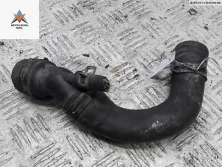 патрубок радиатора Volkswagen Golf 4 поколение 1999, 1.4 л., бензин, 1J0121087B