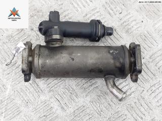 охладитель EGR / Радиатор EGR BMW 5 серия E39 [рестайлинг] 2000, 2.0 л., дизель, МКПП, серый, универсал