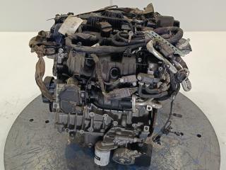 двигатель Ford Explorer 6 поколение 2022, цвет