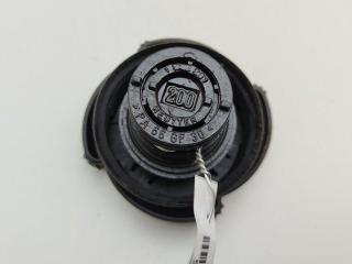 пробка расширительного бачка BMW 3 E46 2003, 2.0 л., бензин, МКПП, серый, универсал, 1742231