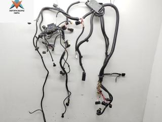 проводка двигателя BMW 7 серия F01/F02 [рестайлинг] 2012, 3.0 л., гибрид, АКПП, серый, седан, 7619321