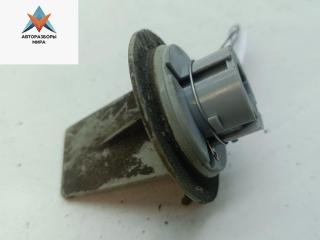 Патрон лампы фары Volkswagen Passat B5 [рестайлинг] 2001, 1.9 л., дизель, МКПП, синий, универсал, 14847905