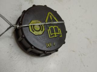 Крышка бачка тормозной жидкости Ford Transit 7 поколение 2007, 2.2 л., дизель, МКПП, серый, микроавтобус, 02040511174