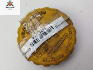 пробка расширительного бачка Opel Astra G 1999, 1.6 л., бензин, МКПП, синий, универсал