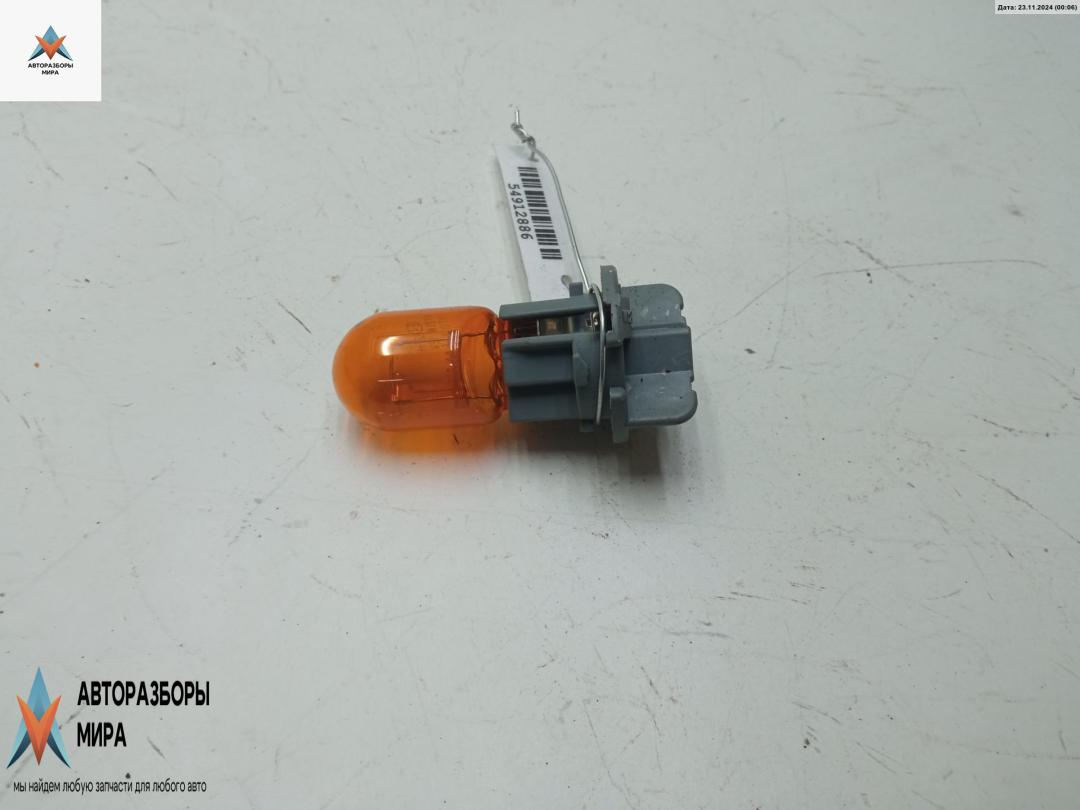 Патрон лампы фонаря Toyota Yaris Verso 2003, 1.3 л., бензин, МКПП, красный, минивэн - фото №1