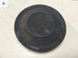 крышка фары Renault Scenic 2 поколение [рестайлинг] 2006, 1.6 л., бензин, АКПП, синий, минивэн, 153874