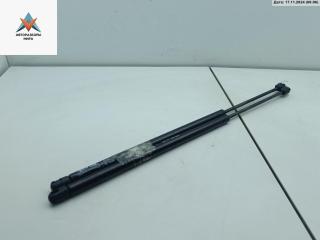 амортизатор крышки багажника (3-5 двери) Renault Scenic 1 поколение [рестайлинг] 2001, 1.4 л., бензин, МКПП, серый, минивэн, 7700828454