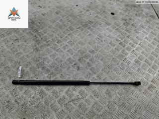 амортизатор крышки багажника (3-5 двери) Renault Scenic 1 поколение [рестайлинг] 2002, 1.6 л., бензин, МКПП, синий, минивэн, 8710-25210
