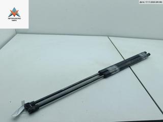 амортизатор крышки багажника (3-5 двери) Renault Koleos 1 поколение 2008, 2.0 л., дизель, МКПП, серый, внедорожник 5 дв., 904505599R