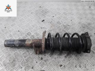 стойка передняя Volkswagen Passat B6 2006, 2.0 л., бензин, МКПП, серый, универсал