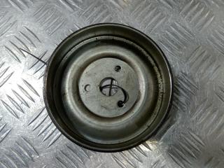 шкив помпы Peugeot 207 1 поколение [рестайлинг] 2012, цвет, 761902080