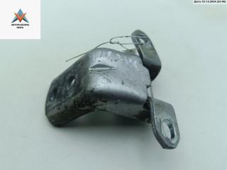 петля двери Renault Koleos 1 поколение 2008, серый, внедорожник 5 дв., A056803