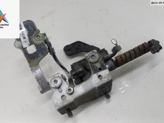 петля крышки багажника BMW 3 серия E46 1999, серый, универсал, 8254015