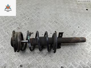 стойка передняя Renault Scenic 2 поколение 2005, 2.0 л., бензин, МКПП, серый, минивэн