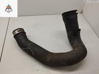 патрубок (трубопровод, шланг) Audi A6 4B/C5 [рестайлинг] 2003, 2.5 л., дизель, МКПП, чёрный, универсал