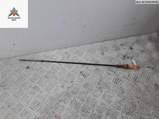 щуп двигателя Volkswagen Passat B5 [рестайлинг] 2001, 1.9 л., дизель, МКПП, синий, универсал, 038115611B