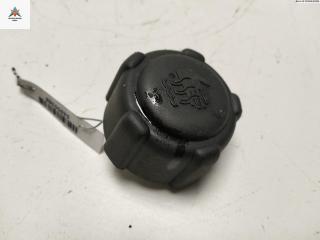 пробка расширительного бачка Renault Laguna 2 поколение [рестайлинг] 2005, 1.9 л., дизель, МКПП, серый, хетчбэк 5 дв., 8200048024