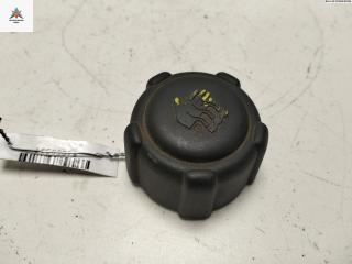 пробка расширительного бачка Renault Scenic 1 поколение [рестайлинг] 2002, 1.6 л., бензин, МКПП, синий, минивэн, 8200048024