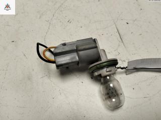 Патрон лампы фонаря Renault Koleos 1 поколение 2008, 2.0 л., дизель, МКПП, серый, внедорожник 5 дв.